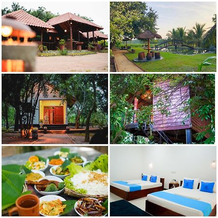 Ceylon Amigos Eco Resort Sigiriya Esterno foto