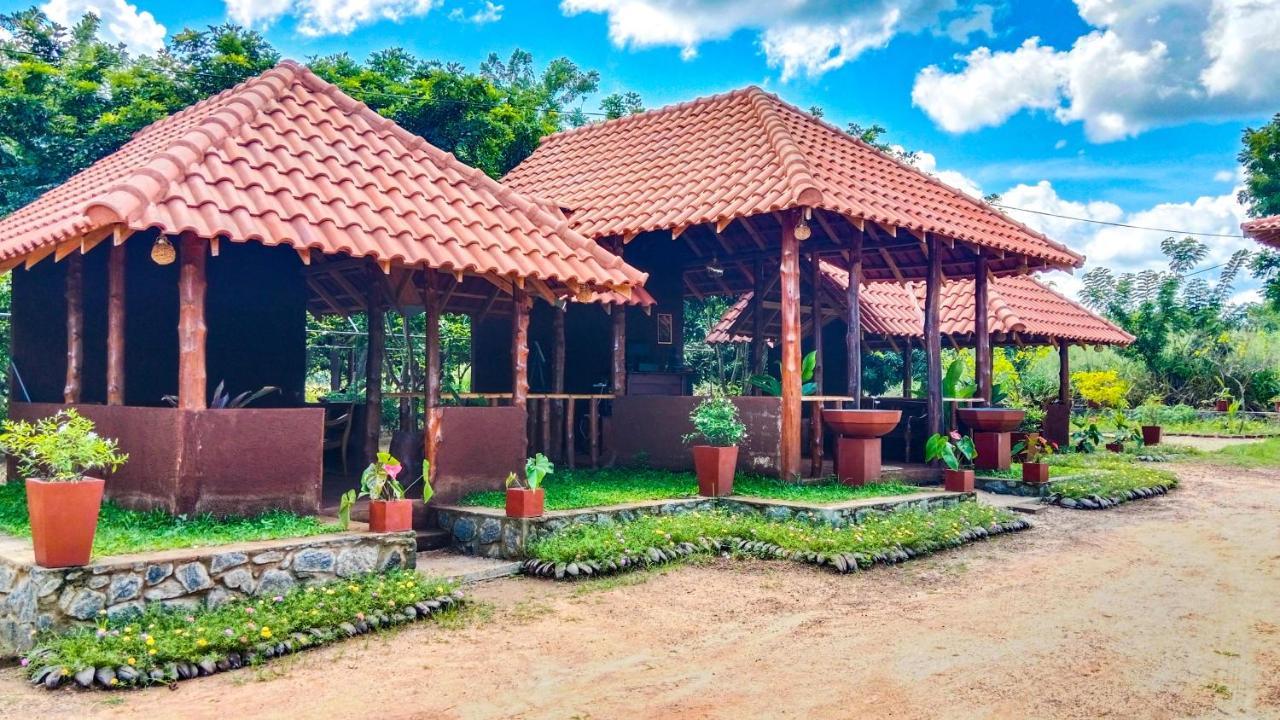 Ceylon Amigos Eco Resort Sigiriya Esterno foto