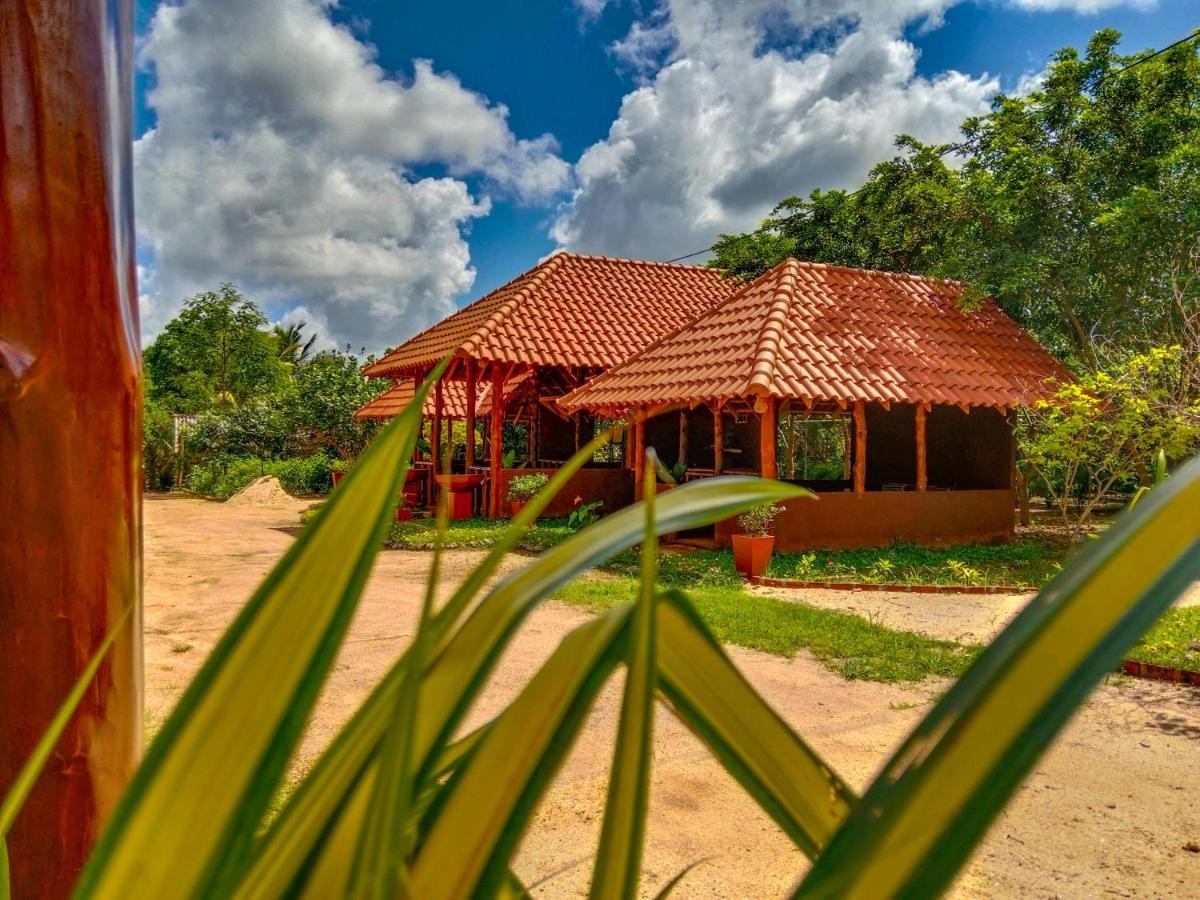 Ceylon Amigos Eco Resort Sigiriya Esterno foto