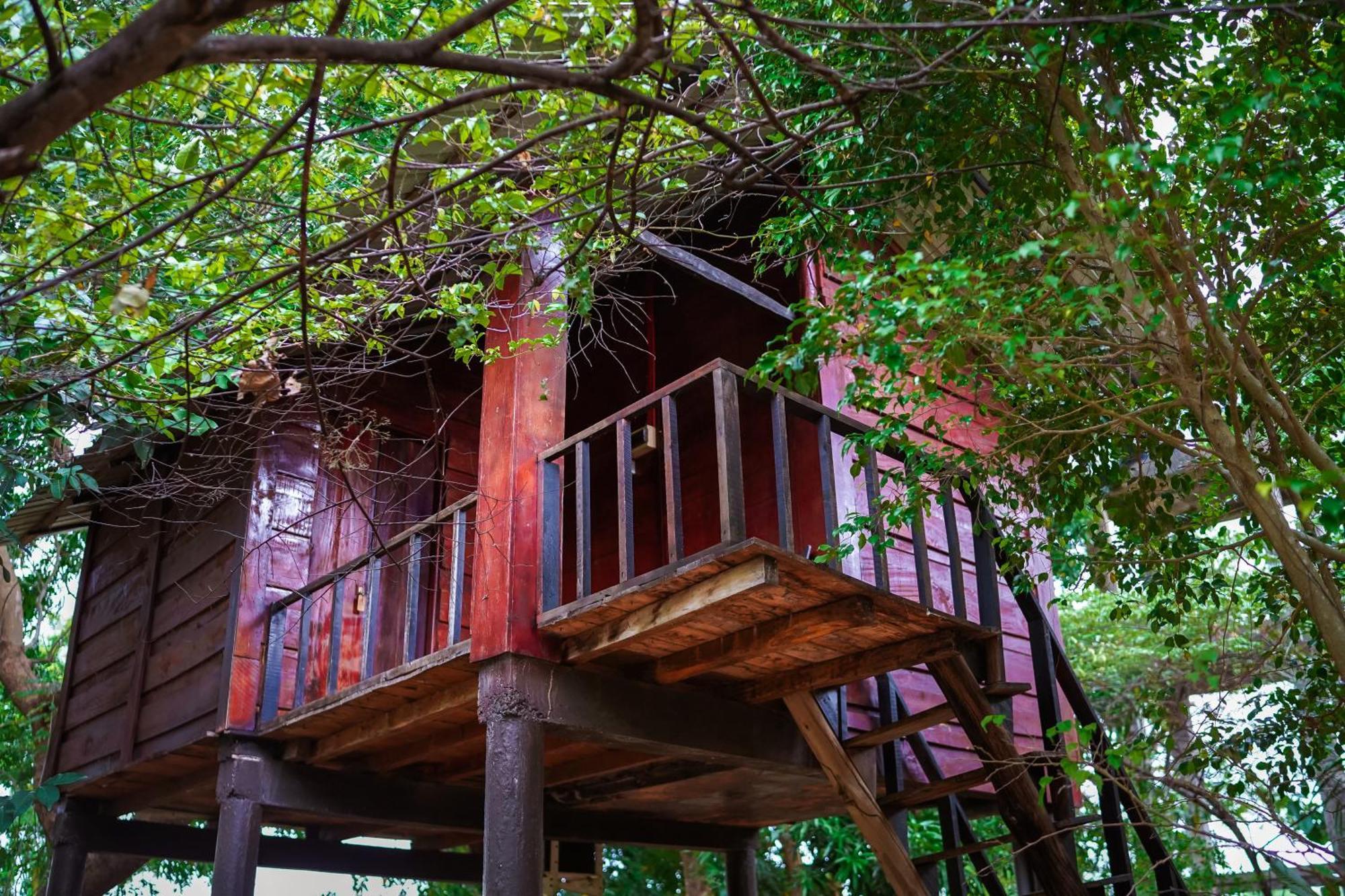 Ceylon Amigos Eco Resort Sigiriya Esterno foto