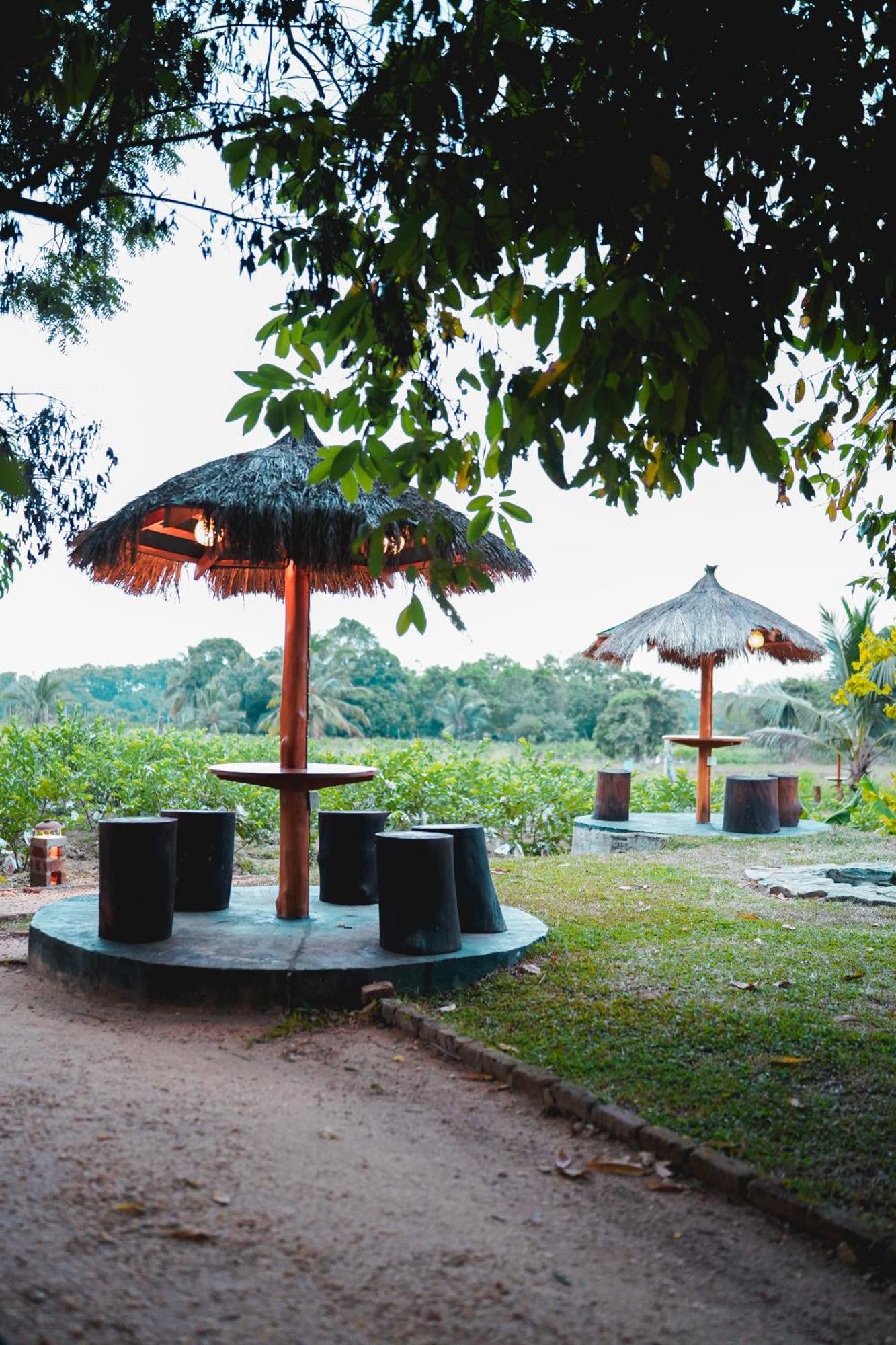 Ceylon Amigos Eco Resort Sigiriya Esterno foto